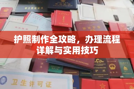 霍邱护照制作全攻略，办理流程详解与实用技巧