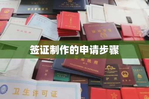 霍邱签证制作的申请步骤