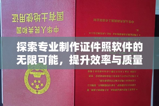 霍邱探索专业制作证件照软件的无限可能，提升效率与质量