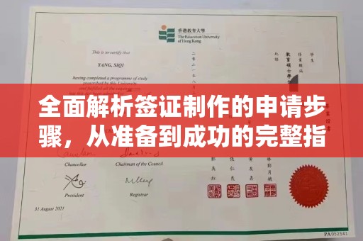 霍邱全面解析签证制作的申请步骤，从准备到成功的完整指南