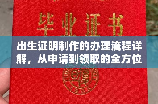 霍邱出生证明制作的办理流程详解，从申请到领取的全方位指南